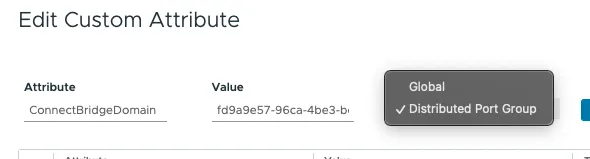 Distributed Port Group Custom Attributes