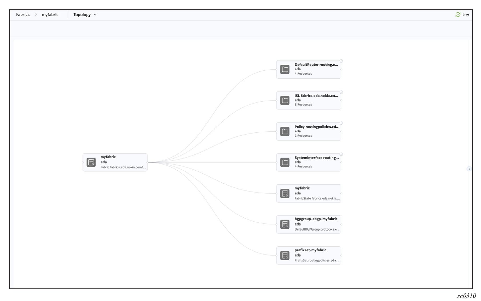 An example of a fabric resource topology